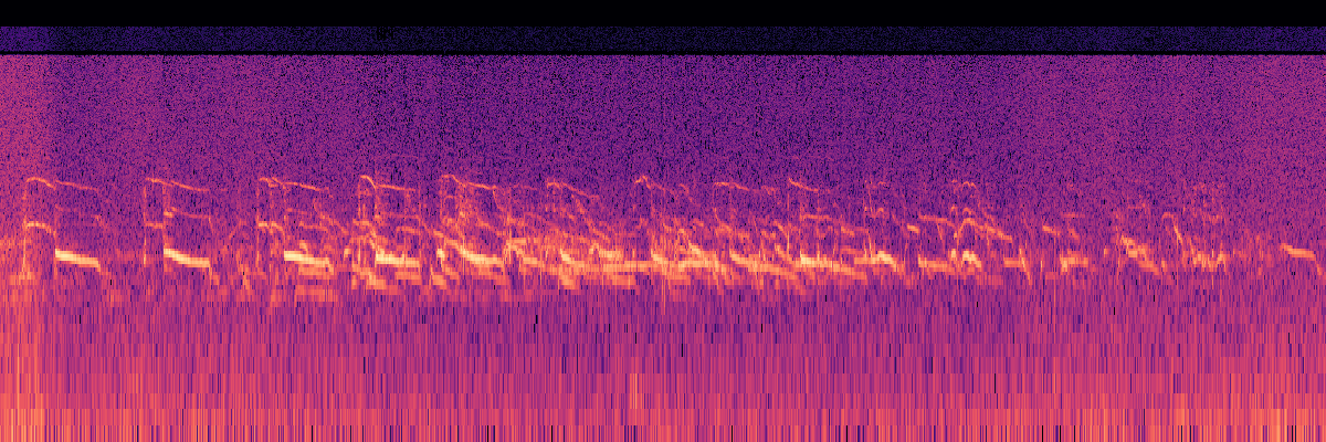 Spectrogram: Denali Kennels Dogs Howling